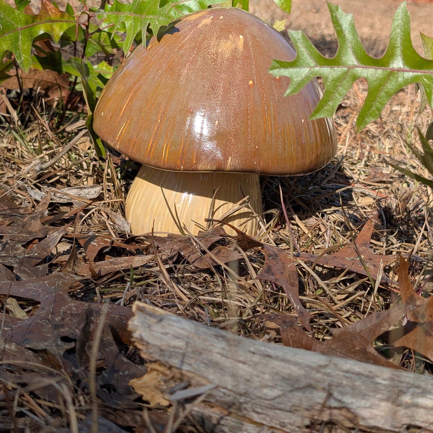 Garden mushroom (7-inch)