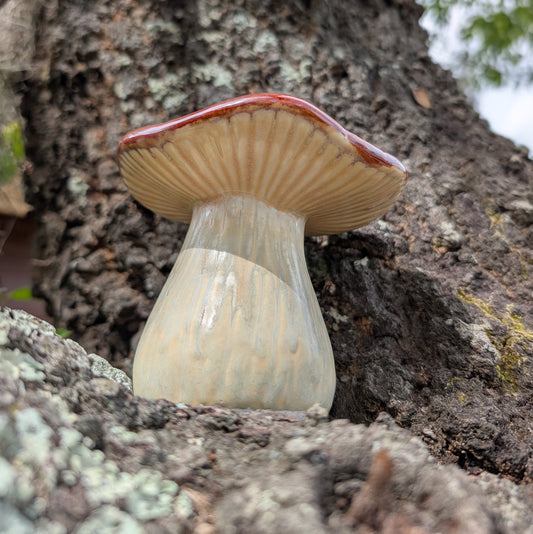 Garden Russula mushroom (4.5 inches)