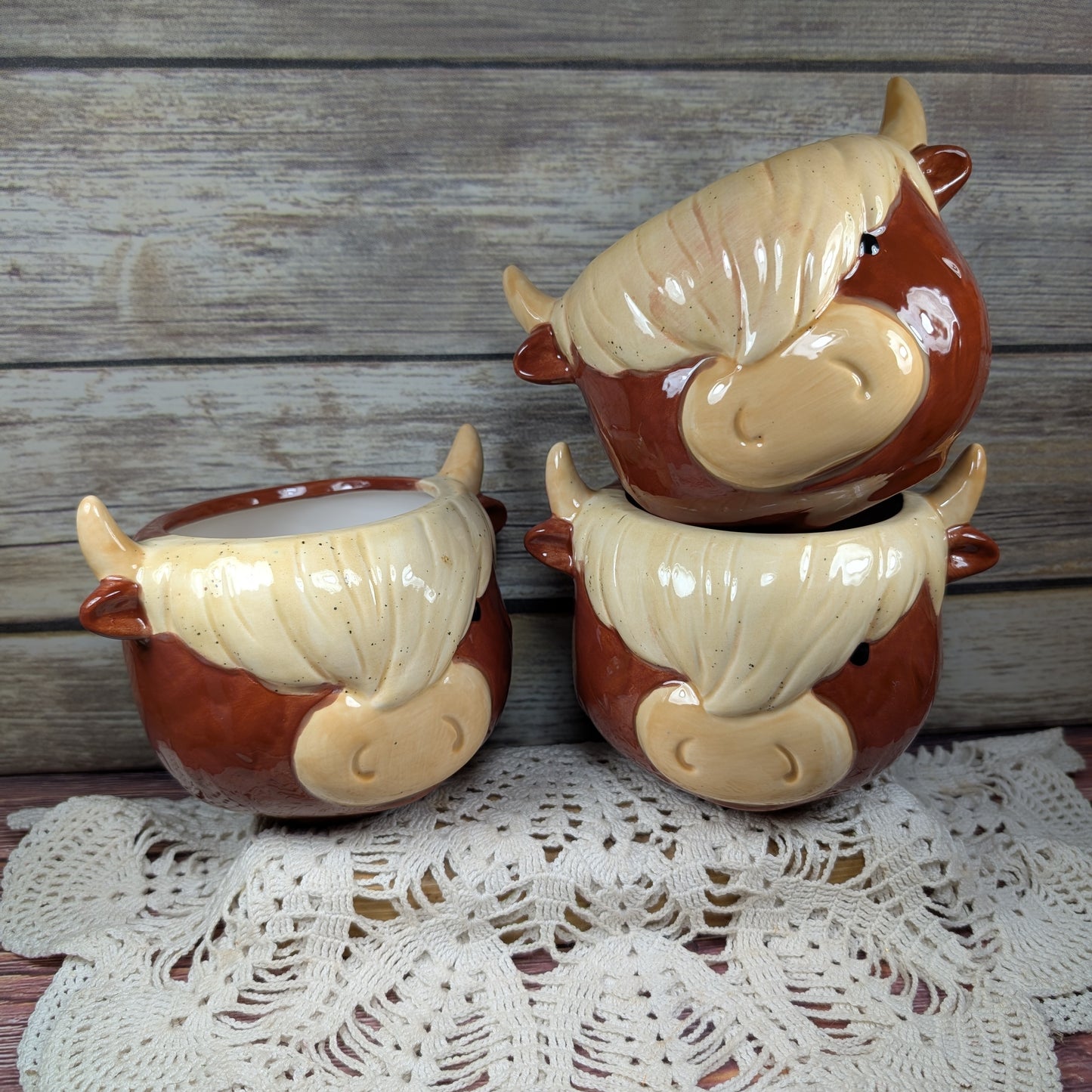 Highland Cow planter