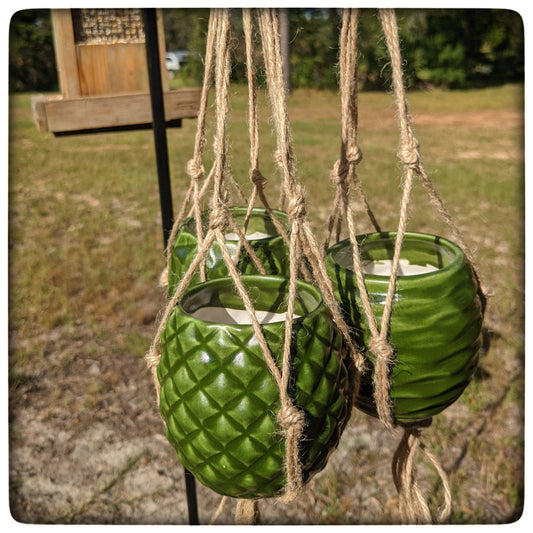 Lowered price, same number of hanging planters!