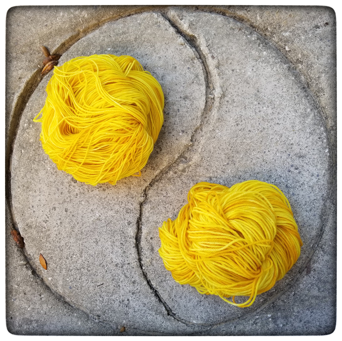 February 2018 Yarn Club: Sunflowers