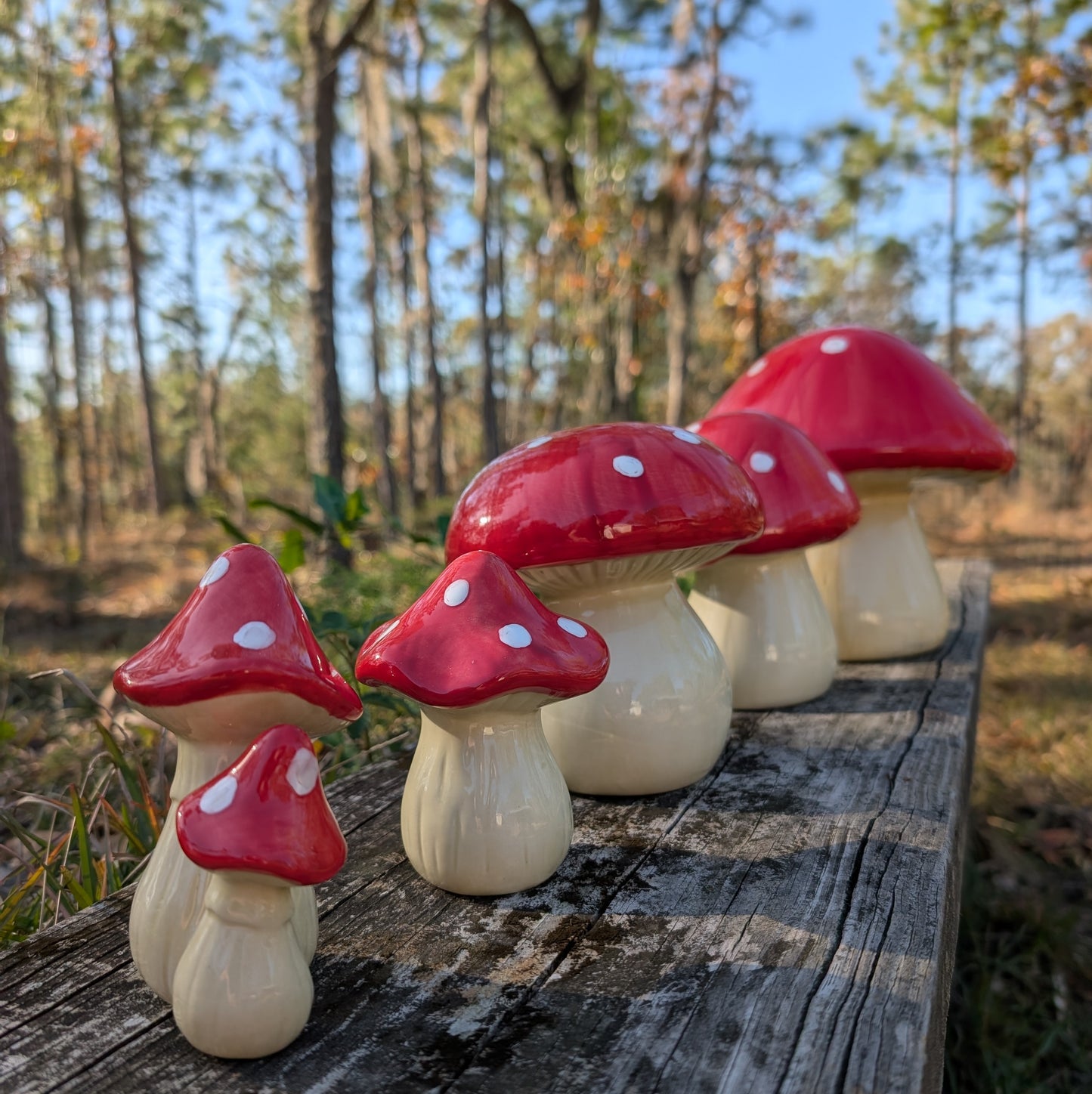 Garden mushroom (pair)