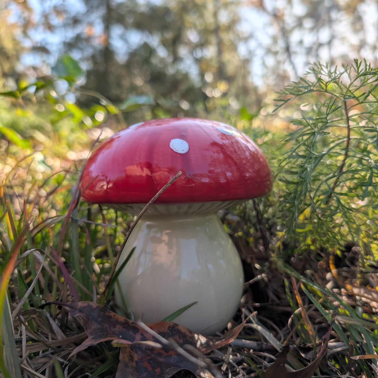 Garden mushroom (5-inch)