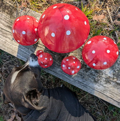 Garden mushroom (pair)