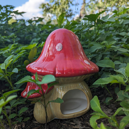 Mushroom Toad Abode