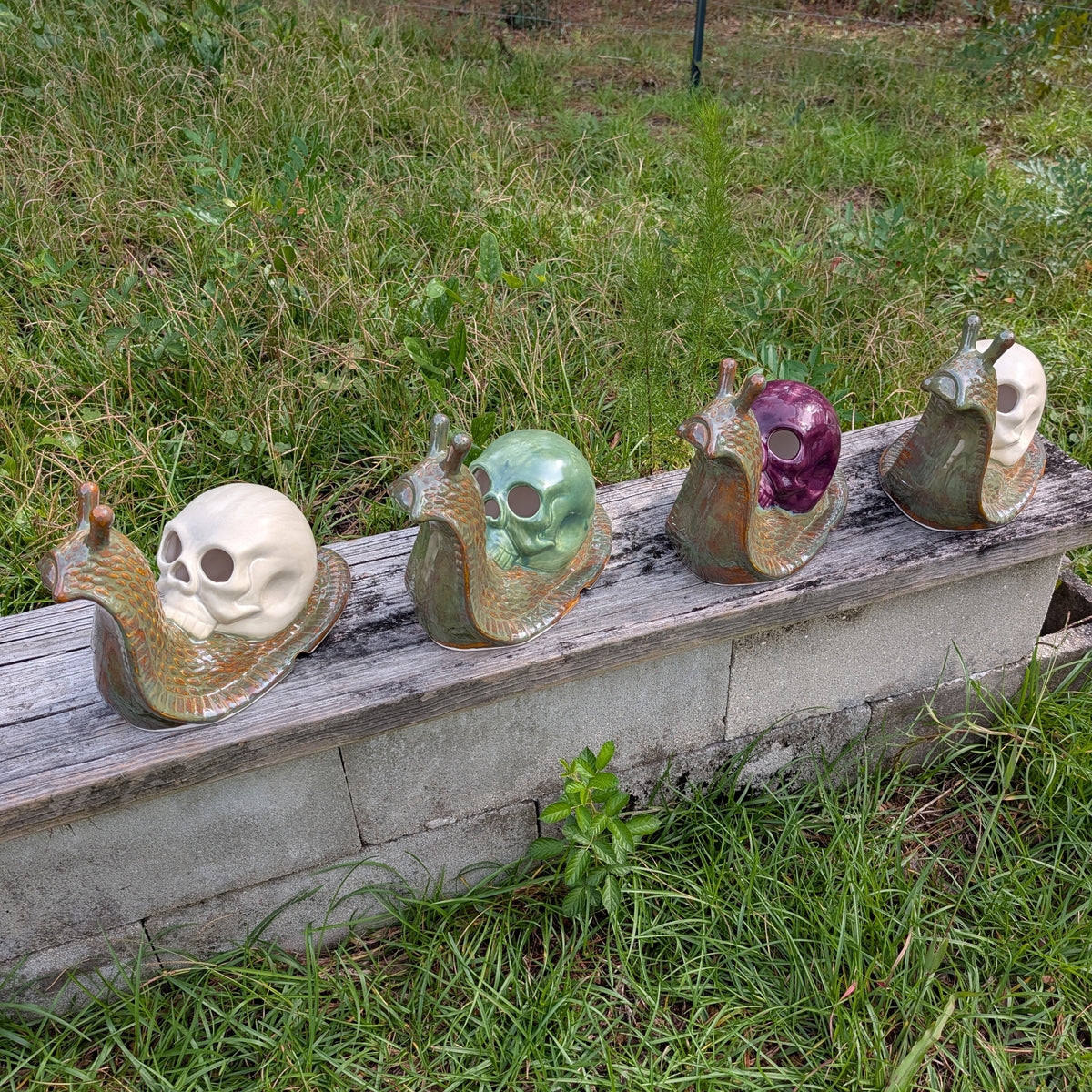 Death, at a Snail's Pace