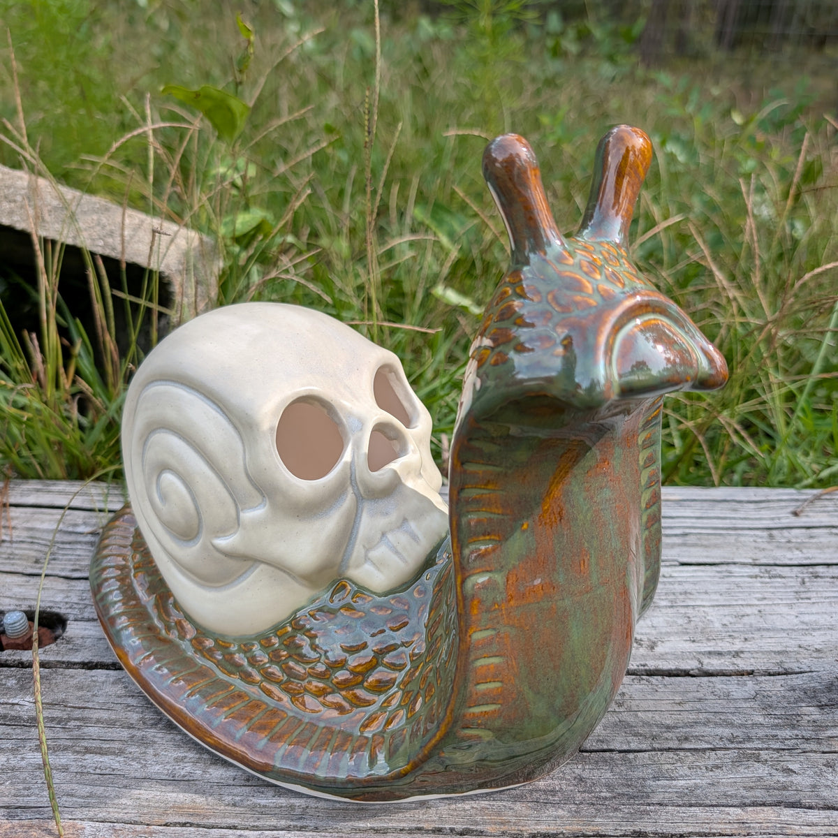Death, at a Snail's Pace