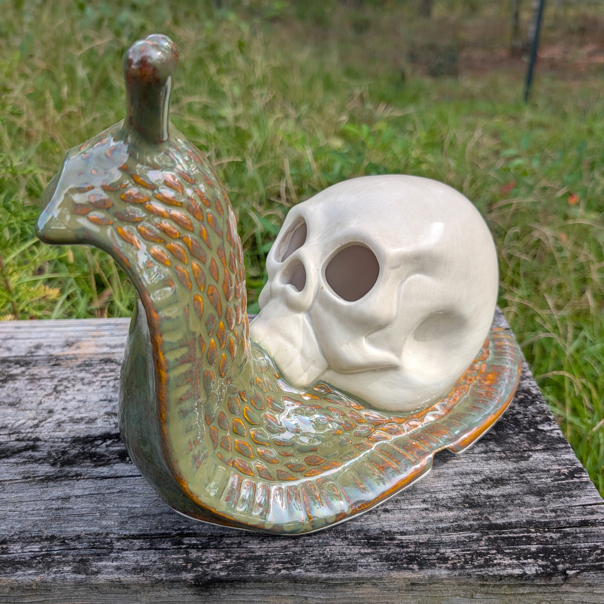 Death, at a Snail's Pace